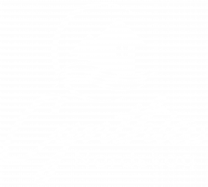 White Nordskog Logo